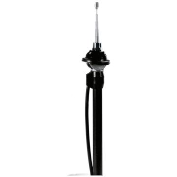 Carpoint Telescoop Antenne Chroom