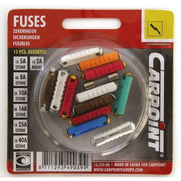 Carpoint Steenzekering Assorti 13 stuks