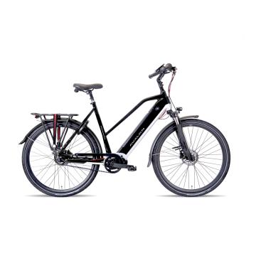 Avalon elektrische fiets E-Pro Sport zwart-zilver D49cm 540WH