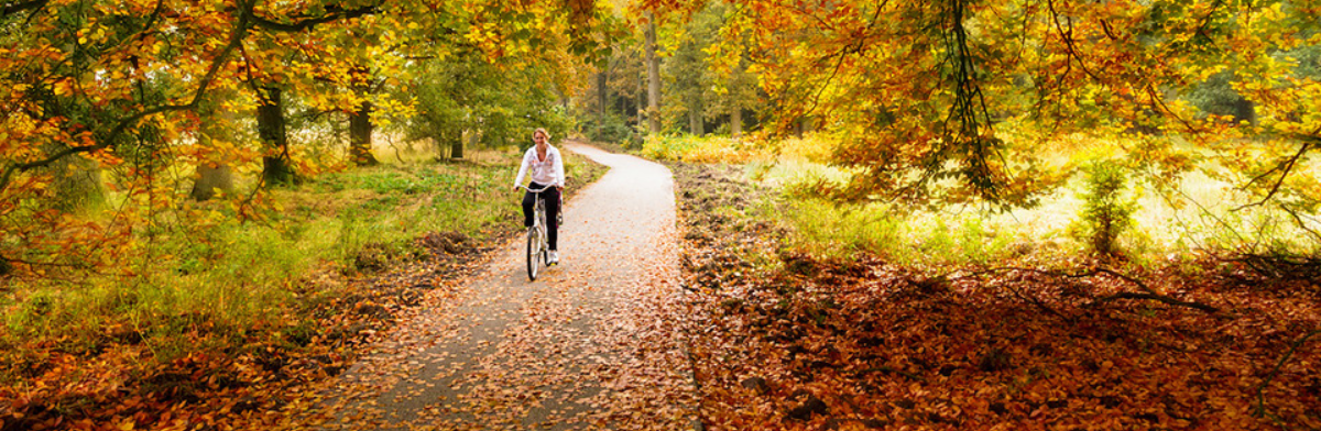 Is jouw fiets al herfstklaar? Essentiële tips voor onderhoud en veiligheid